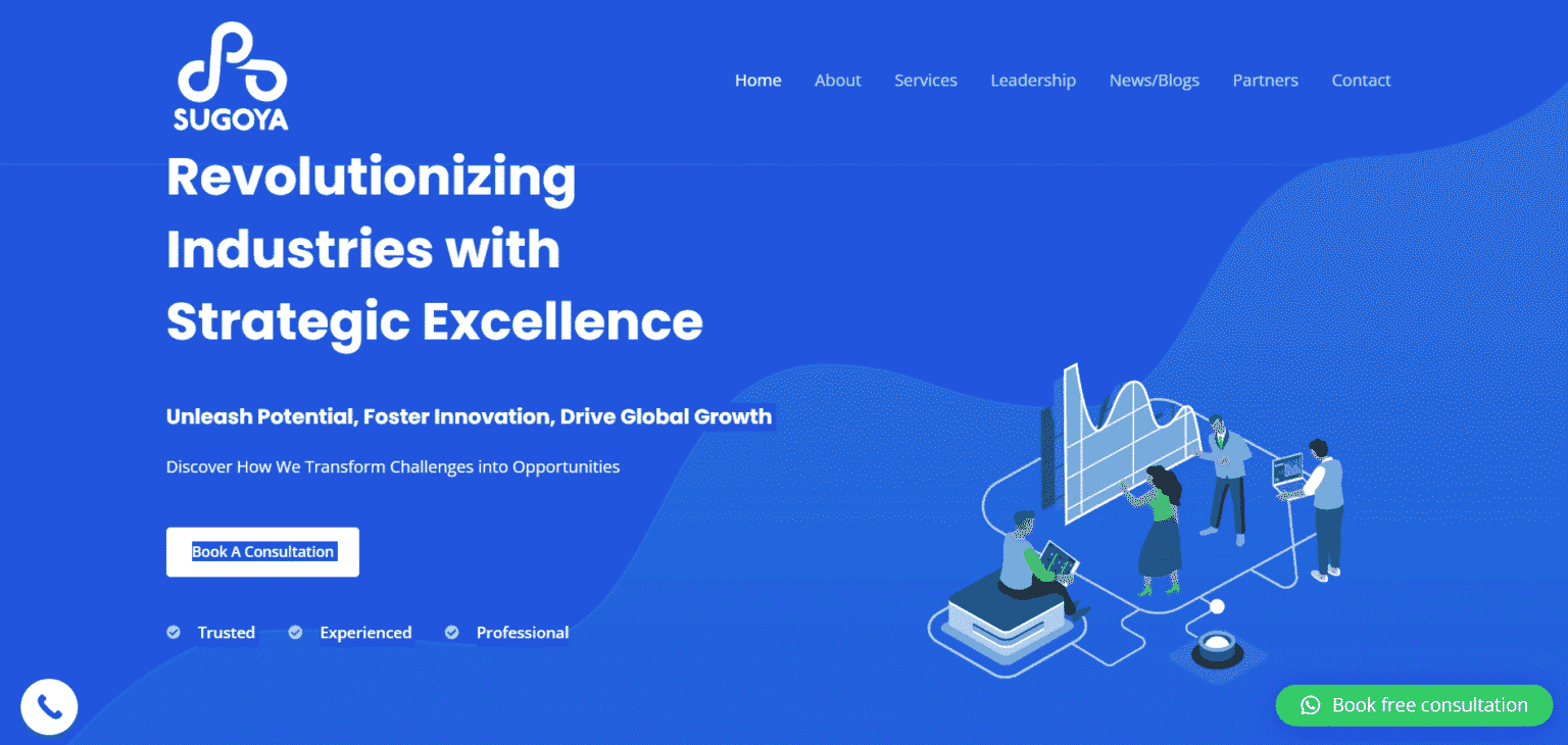 Business Consultancy website design