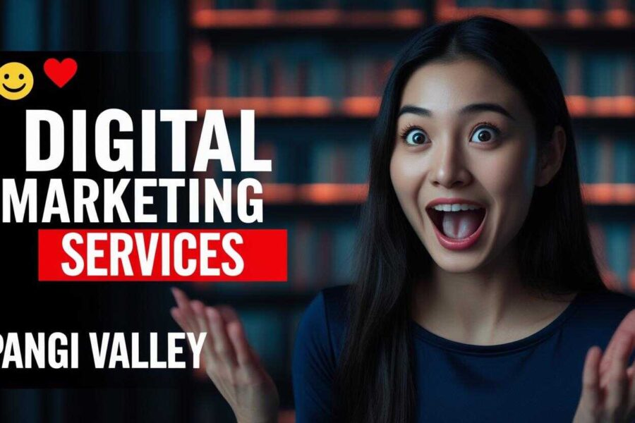 Digital marketing services in Pangi Valley